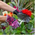 Garden Gloves