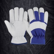 Assembly  Gloves