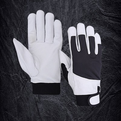 Assembly  Gloves