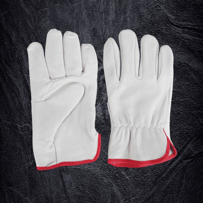 Driving Gloves