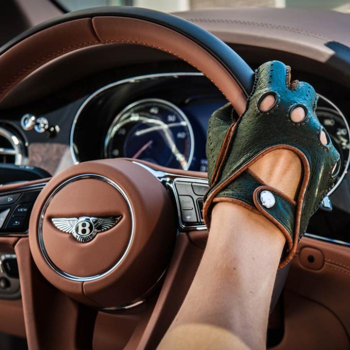 Driving Gloves